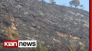 Situata nga zjarret në Fier | Digjen dy banesa të pabanuara, nuk ka banorë të evakuuar