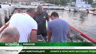 РИБОЛОВ: ЕС забранява оловото във въдичарските принадлежности