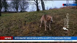 Άγρια επίθεση σκύλου σε μητέρα και παιδί στον Εσταυρωμένο