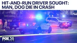 Driver sought in Orlando hit-run-crash killing man, dog