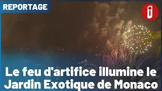 Fireworks light up the Jardin Exotique in Monaco
