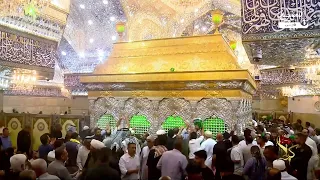 پخش زنده کربلا | بغض و دلتنگی زائران در آستانه ولادت پیامبر