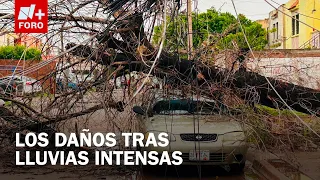 Heavy Rains Cause Flooding, Fallen Trees, and Damage in Nuevo León, Sonora, and Chihuahua