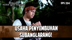 Gagaklumayung Mengobati Subanglarang Yang Terluka | KEMBALINYA RADEN KIAN SANTANG | EPS. 234