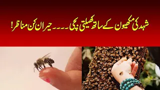 A little girl playing with honeybees... Astonishing scenes!