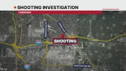 Ведется расследование стрельбы на улице Саутуолл-стрит в Ламаре.