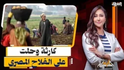 Crops are "cheaper than people" .. Why is Madbouly's government fighting the Egyptian farmer?!