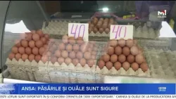 ANSA dă asigurări: păsările și ouăle din R. Moldova sunt sigure