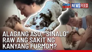 Alagang aso, “sinalo” raw ang sakit ng kanyang furmom? | GMA News Feed