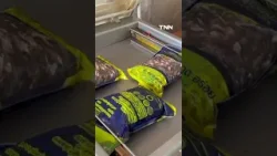 ทำนากบขายลูกฮวก โกยเงินวันละแสน I เรื่องดีดีทั่วไทย 10-03-26