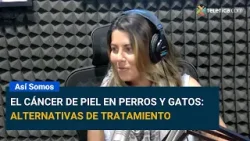 El cáncer de piel en perros y gatos: alternativas de tratamiento