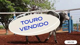 TOURO UFU 720