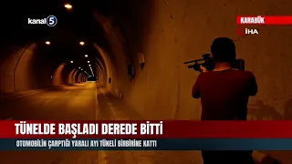 Tünelde Başladı Derede Bitti | Otomobilin Çarptığı Yaralı Ayı Tüneli Birbirine Kattı