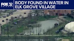 Body found in the water in Elk Grove Village