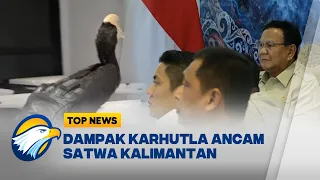 TOP TOPIC - Karhutla Kalimantan Meluas, Rangkong Masuk Kota hingga 72 Tersangka Diburu Polisi