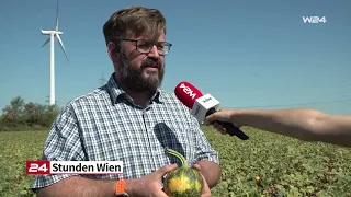 Drought takes a toll on agriculture in Vienna-Oberlaa