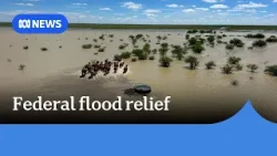 Federal and state govts pledge $38m in Qld flood disaster support | ABC News