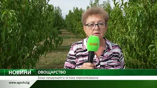 ОВОЩАРСТВО: Защо продукцията остава нереализирана