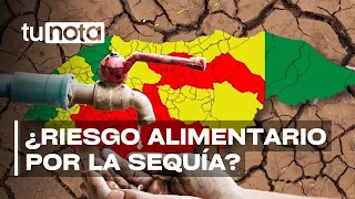 Red alert in the country! 103 municipalities affected by drought and food risk