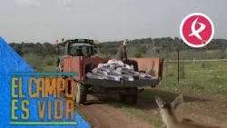La camioneta de María se ha estropeado | El campo es vida