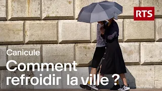 Comment refroidir une ville quand les températures explosent ? | RTS