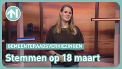 Wat doet de gemeenteraad?