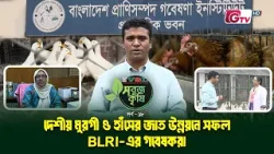 দেশি মুরগি ও হাঁসের জাত উন্নয়নে সফল BLRI-এর গবেষকরা | সবুজ কৃষি EP-18 | GTV দেশি মুরগি ও হাঁসের জাত উন্নয়নে সফল BLRI-এর গবেষকরা | সবুজ কৃষি EP-18 | GTV
