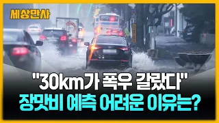 "30km가 폭우 갈랐다"…장맛비 예측 어려운 이유는? [세상만사] #날씨 #극한호우 #수도권 #장맛비예측