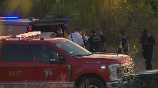Dallas firefighters battle 2-alarm grass fire