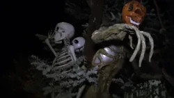 Halloween weekend brings crowds, boost for Raleigh businesses