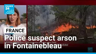 French police suspect arson in Fontainebleau forest near Paris • FRANCE 24 English