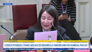 Comisión de Medio Ambiente, Cambio Climático y Bienes Nacionales - 03 de agosto 2026