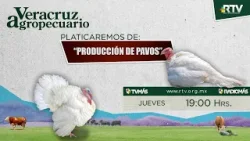 Veracruz Agropecuario - Producción de Pavos