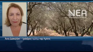 ΕΠΙΔΟΤΗΣΕΙΣ ΣΤΟΝ ΑΕΡΑ Η ΚΑΤΑΒΟΛΗ ΤΩΝ ΕΠΙΔΟΤΗΣΕΩΝ