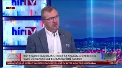 Tudatosan kell apává válnia egy férfinak  - Bedő Imre - Napindító - HírTV