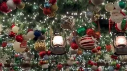 Angus Barn’s iconic Christmas wonderland, where family history meets holiday magic