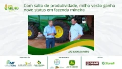 O milho verão ganhou protagonismo no cerrado mineiro