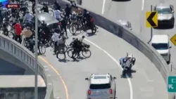 85 человек задержаны после того, как полиция Сан-Франциско предотвратила захват моста через залив.