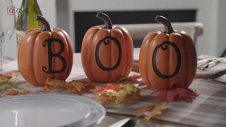 Pumpkin Everything at QVC