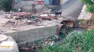 Residentes de Villa Verde denuncian contaminación y proliferación de plagas