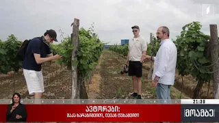 იმერულ ღვინოებს გერმანელი სპეციალისტები ეცნობიან