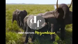 Destination Francophonie | Mozambique 2