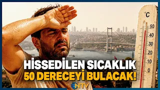 Feels-Like Temperature to Reach 50 Degrees! Critical Day Warning from Expert | NTV
