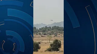 Zjarret, 6 vatra aktive/ Nuk ka rrezik për banesa, flakët në qarqet Tiranë, Dibër dhe Lezhë