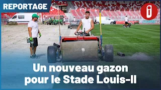 A new pitch for Stade Louis II