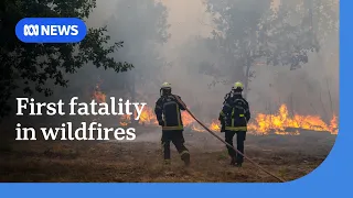 Europe wildfires turn deadly as windy weather hampers evacuation efforts | ABC NEWS