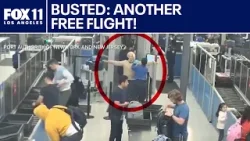 Convicted serial stowaway arrested again