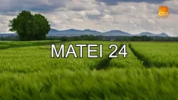 Bible Reading: Matthew 24