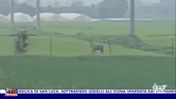 E'TG Sera 04/04/2026