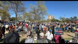 Сотни жителей города собрались на акцию протеста «Нет Дню королей» в центре Мемфиса.